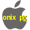 Aplicativo onix pg para iOS